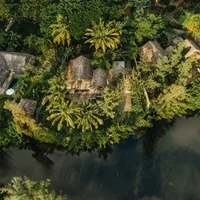 Ảnh trong bài