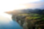 Ảnh trong bài