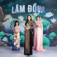 Ảnh trong bài
