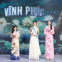 Ảnh trong bài