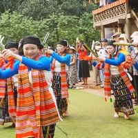 Ảnh trong bài
