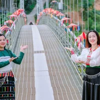 Ảnh trong bài