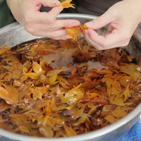 la-phong-chien-gion-ivivu-9-1-1024x576.jpg