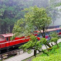 tau-do-alishan-ivivu3.jpg