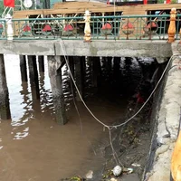 Ảnh trong bài