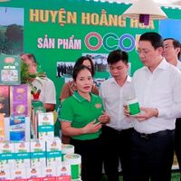 Ảnh trong bài