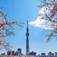Tour Nhật Bản 4N4Đ tận hưởng trọn vẹn sắc xuân với visa đơn giản