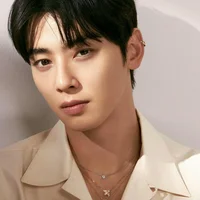 Diễn viên Cha Eun Woo
