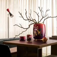 Ảnh trong bài