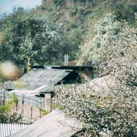 ban lang dan toc tay bac rung hoa
