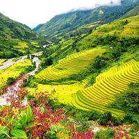 Du lịch Hạ Long