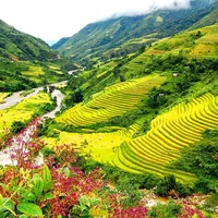Du lịch Hạ Long