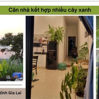 Không gian sống xanh