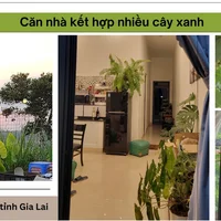 Không gian sống xanh