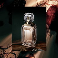 Nước hoa Bvlgari