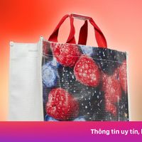 Túi 'đi chợ' 2.700 USD của Balenciaga bị chê thậm tệ