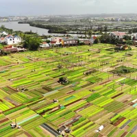 4 trải nghiệm phải thử ở làng rau Trà Quế – làng du lịch tốt nhất thế giới