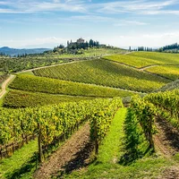 Rượu vang Chianti