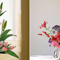 Nghệ thuật cắm hoa Ikebana: Khúc giao hòa giữa thiên nhiên và con người