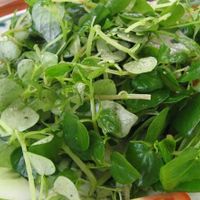 Rau này là thuốc hạ đường huyết tự nhiên, tiêu diệt tế bào ung thư