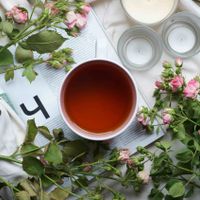 Những loại trà thơm chống lão hóa hiệu quả phái đẹp nên biết