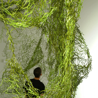 Thiên nhiên trong thiết kế: Nghệ thuật, thiết kế, công nghệ hòa quyện tại Biophilia