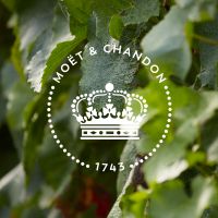 Moët & Chandon – Đẳng cấp Champagne Pháp tôn vinh mùa lễ hội