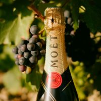 Moët & Chandon – Đẳng cấp Champagne Pháp tôn vinh mùa lễ hội