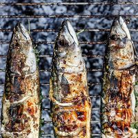 1 loại cá chứa nhiều omega-3 hơn cá hồi, là “thuốc” hạ đường huyết