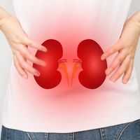 Những thực phẩm bổ thận giúp cơ thể tràn đầy sức sống và năng lượng