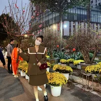 Sao Việt rộn ràng đón Xuân