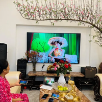Sao Việt rộn ràng đón Xuân
