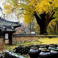 Du lịch Hàn Quốc