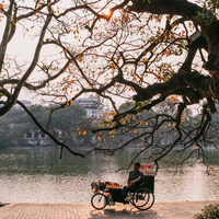 Chẳng ngờ sau một đêm ngủ say mà Hà Nội đã khoác màu áo mới