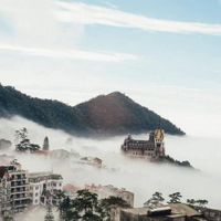 Trên Đỉnh Mây: Khám Phá Top Địa Điểm Săn Mây Đẹp Nhất Việt Nam