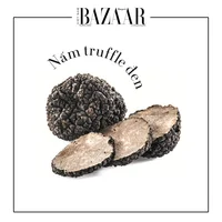 Nấm Truffle là gì và vì sao món ăn này đắt hơn vàng?