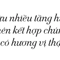 Nấm Truffle là gì và vì sao món ăn này đắt hơn vàng?