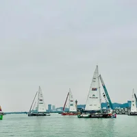 Đoàn đua thuyền buồm Clipper Race