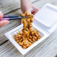 Natto, món ăn sáng và ăn xế giàu dinh dưỡng từ Nhật Bản