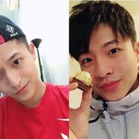 Ngoại hình của Harry Lu