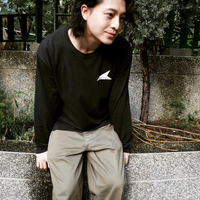 Harry Lu comeback