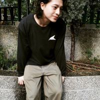 Nam thần Harry Lu