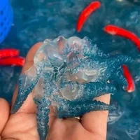 Con nuốc là con gì? Tìm hiểu về con nuốc Huế