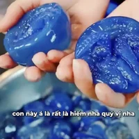 Con nuốc là con gì? Tìm hiểu về con nuốc Huế