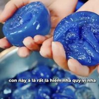 Loại hải sản có màu xanh độc lạ đang được săn lùng kịch liệt: giá lên đến 200k/kg, là "mỹ vị mùa hè" tại Huế