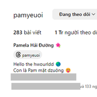 Cháu gái tập đoàn may mặc - Pam Yêu Ơi cán mốc 1 triệu followers trên Instagram: Loạt ảnh ăn mừng độc lạ!
