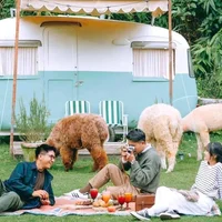 Vào rừng chill nhạc, chèo SUP, bắn cung giữa lòng Đà Lạt