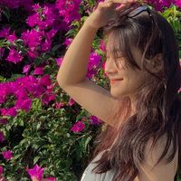 Giới trẻ Đà Nẵng “phát sốt” với mùa hoa giấy nở dọc bờ sông Hàn