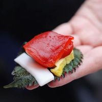 sứa đỏ