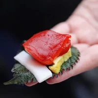 sứa đỏ